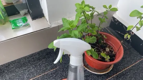 All Plastic Trigger Sprayer Bottle with Cleaning Water Trigger Sprayer